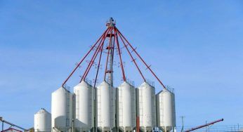 Russia, Ucraina e grano: cosa sta accadendo e quali sono i possibili scenari