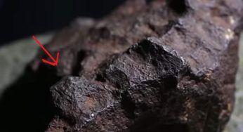 Era convinto fosse solo un fermaporta, ma poi diventa ricco