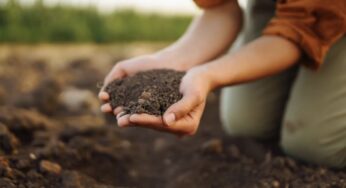 Terreni agricoli: c’è la svolta clamorosa “devo scriverlo su Facebook”